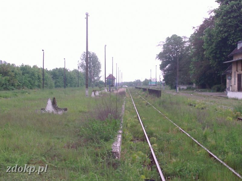 2005-05-23.146 skoki peron 2 widok w str. poznania.jpg - ... Skoki - peron 2 ... z jedynym uywanym torem (na 7 znajdujcych si na stacji) ...
